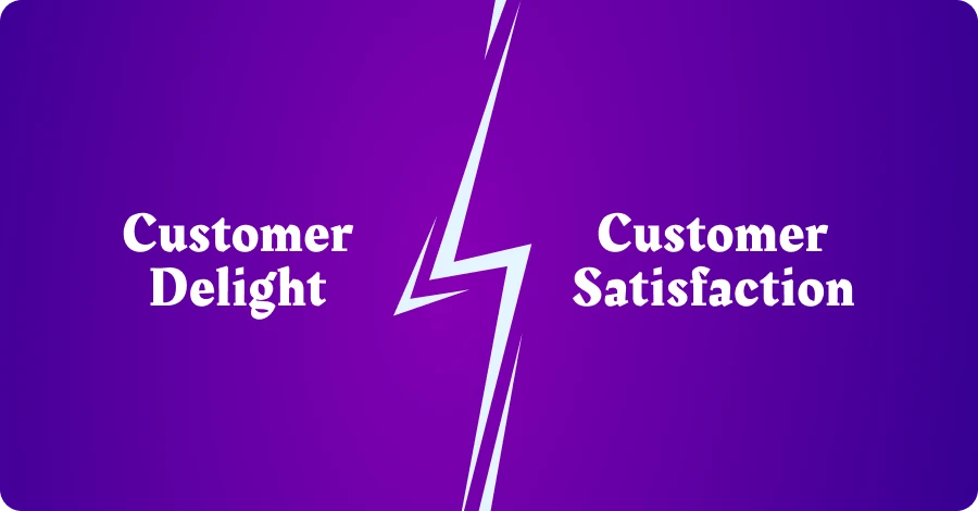 Customer Delight Vs Customer Satisfaction: What Are Differences?