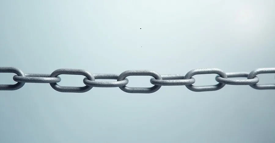 Customer Success Manager: Everything You Need to Know